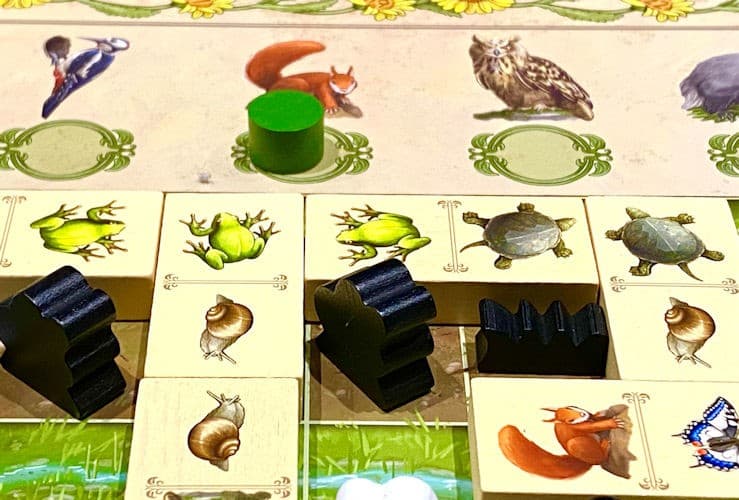 Sur le Vif! Renature : un jeu qui vaut le détour!