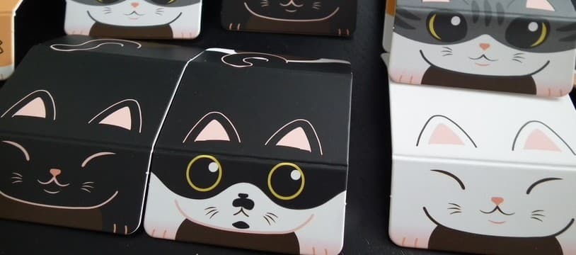 Tu veux rencontrer de jolies chattes dans une boîte de ta région??