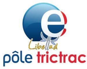 Couverture de l'article : Libellud recherche un-e graphiste (H/F) orienté-e PRINT !