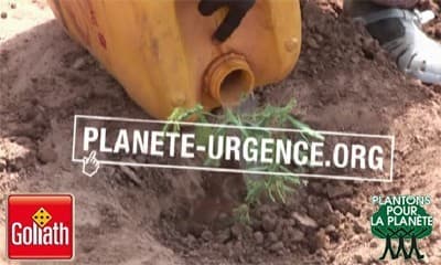 Couverture de l'article : Goliath, un éditeur écolo