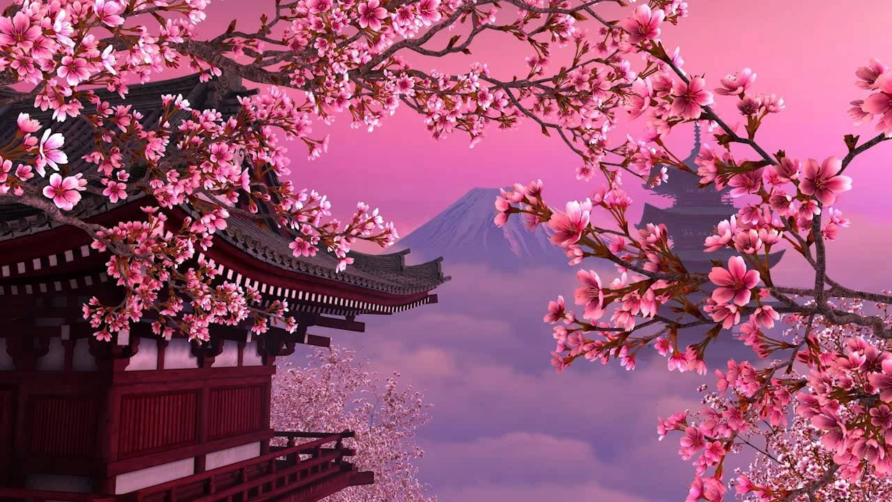 Couverture de l'article : La fleur d’hier est le rêve d’aujourd’hui (kinou no hana wa kyou no yume)