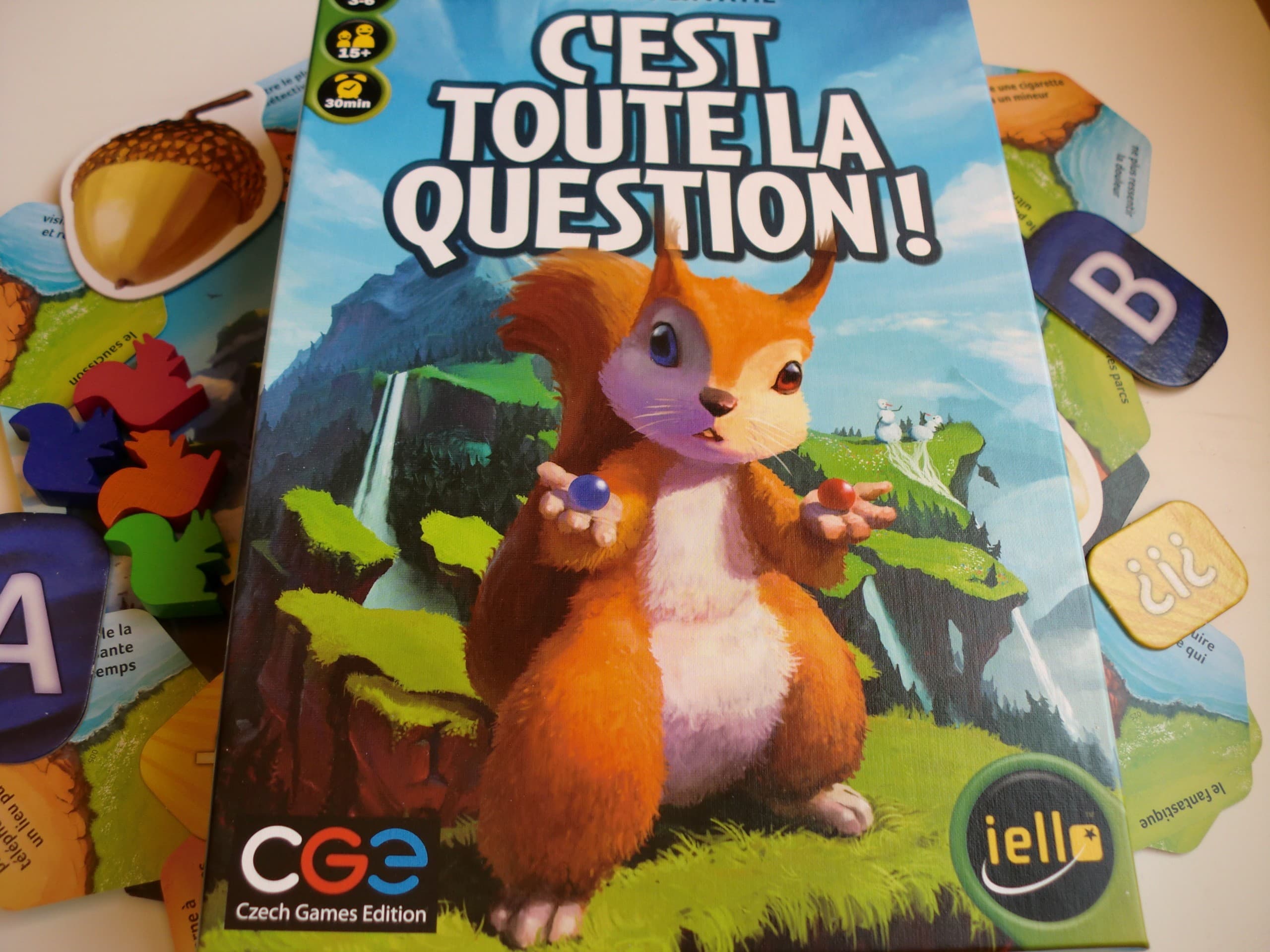 Critique de C’est toute la question