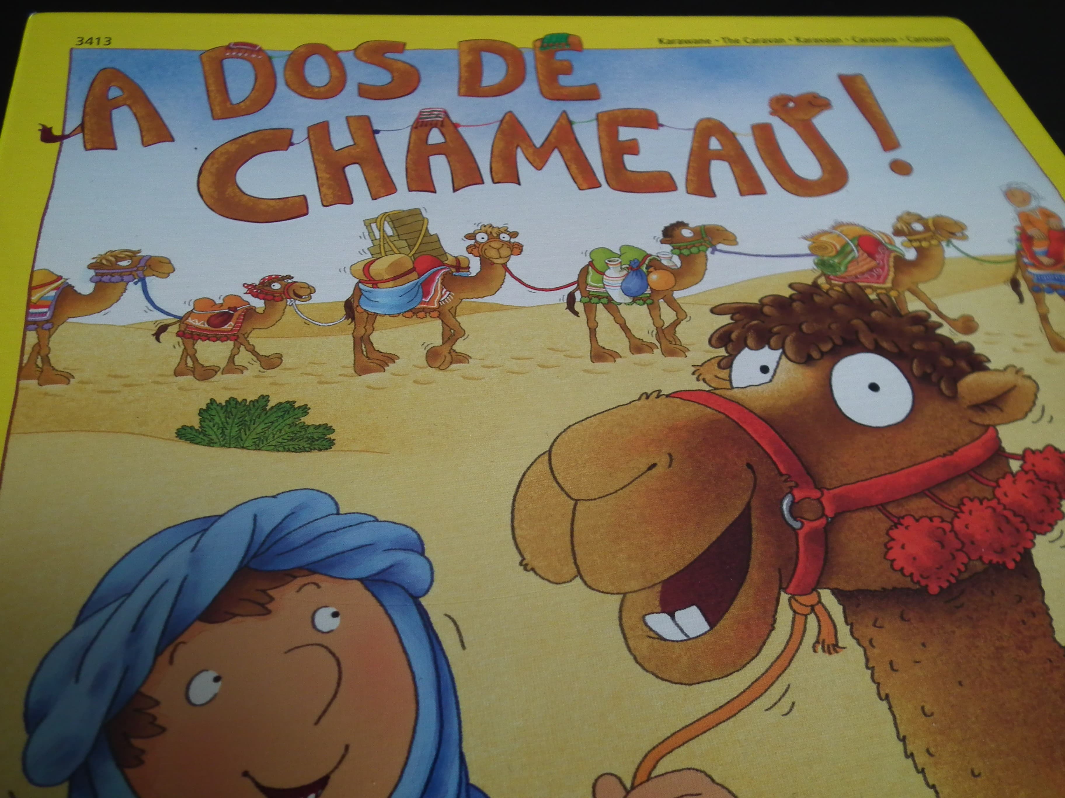 A dos de chameau!