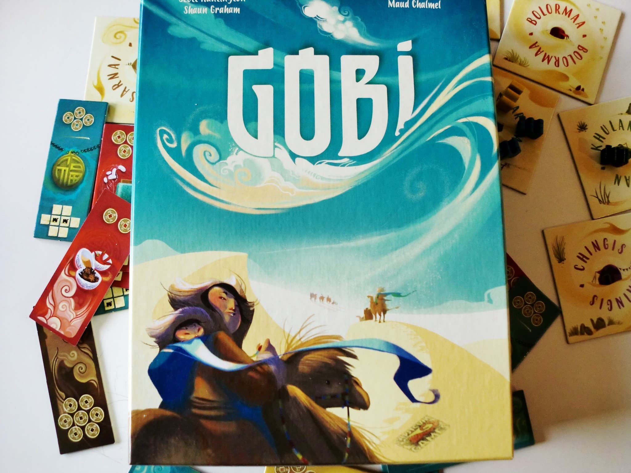 Critique de Gobi