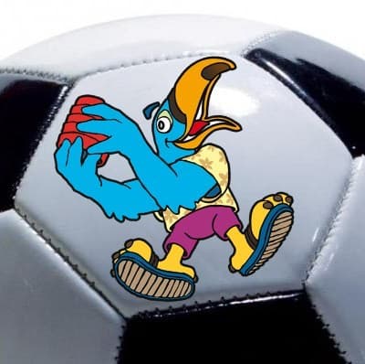 Couverture de l'article : Mieux que Paul le Poulpe : paco le toucan !