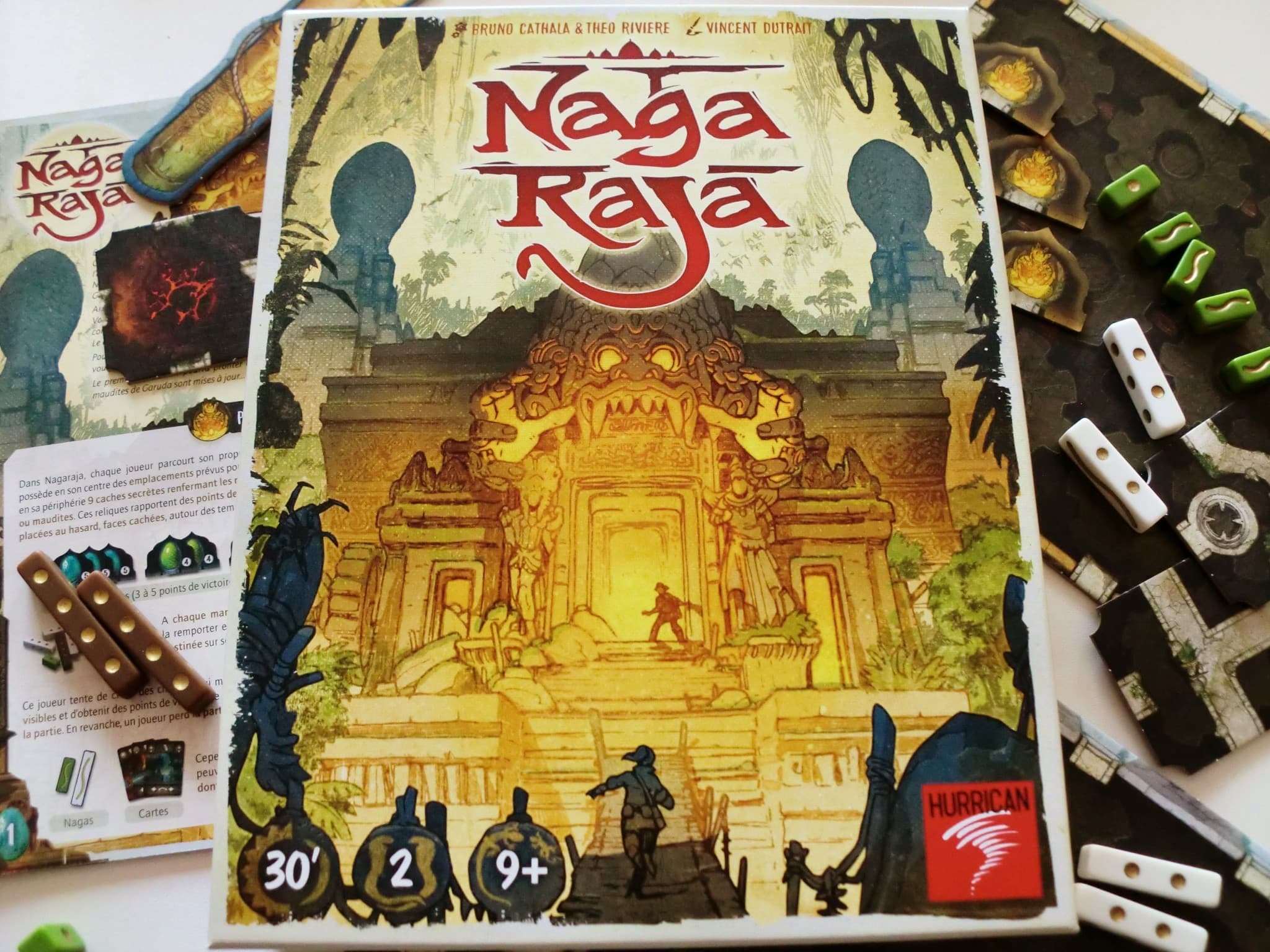 Critique de Naga Raja