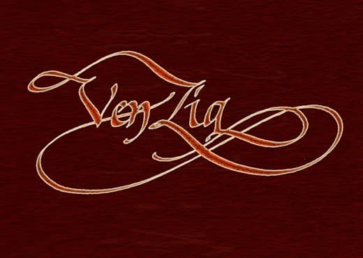 Couverture de l'article : Financement participatif de VENZIA