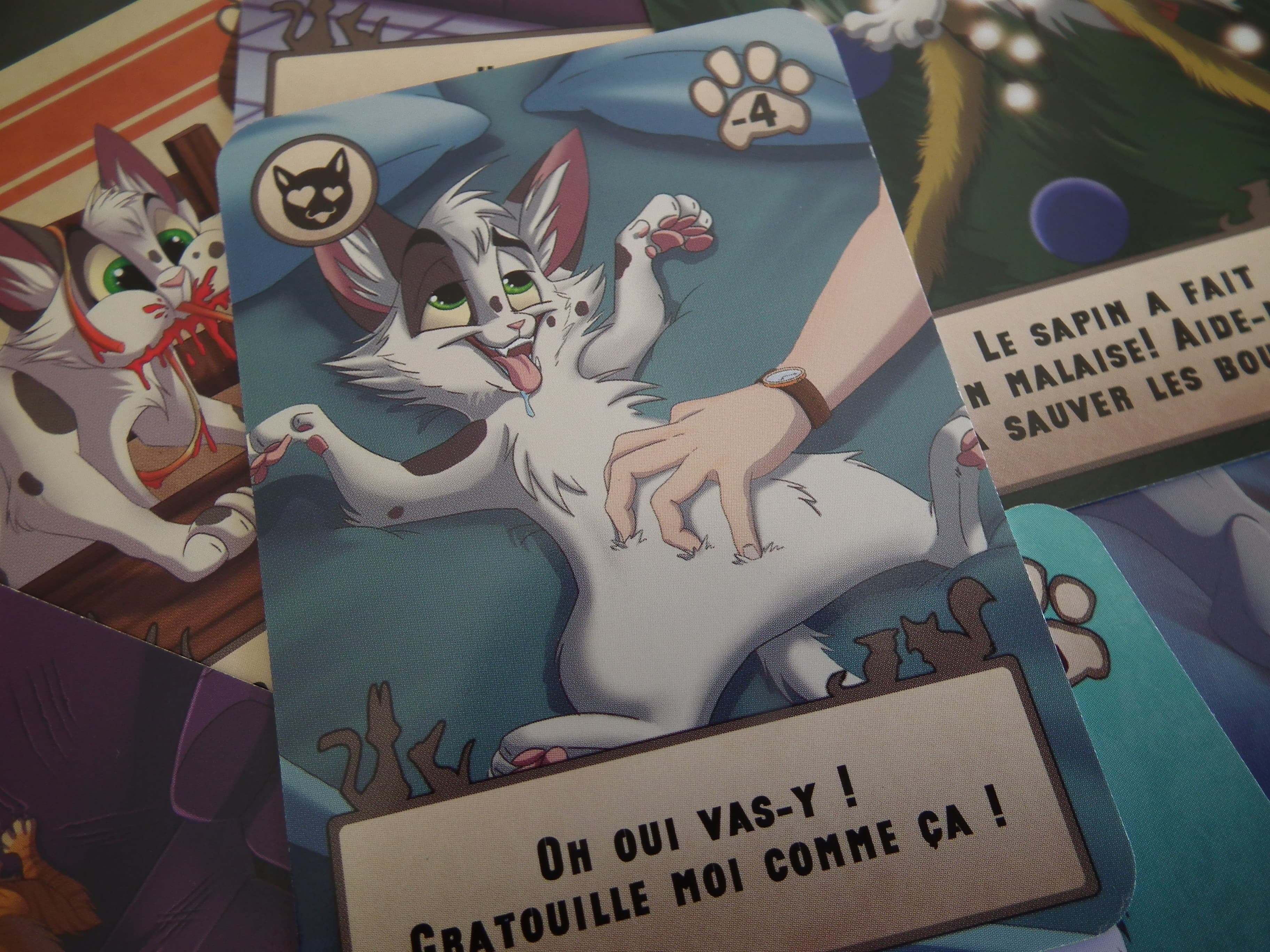 Cat'astrophes : Qui veut jouer avec ma chatte?