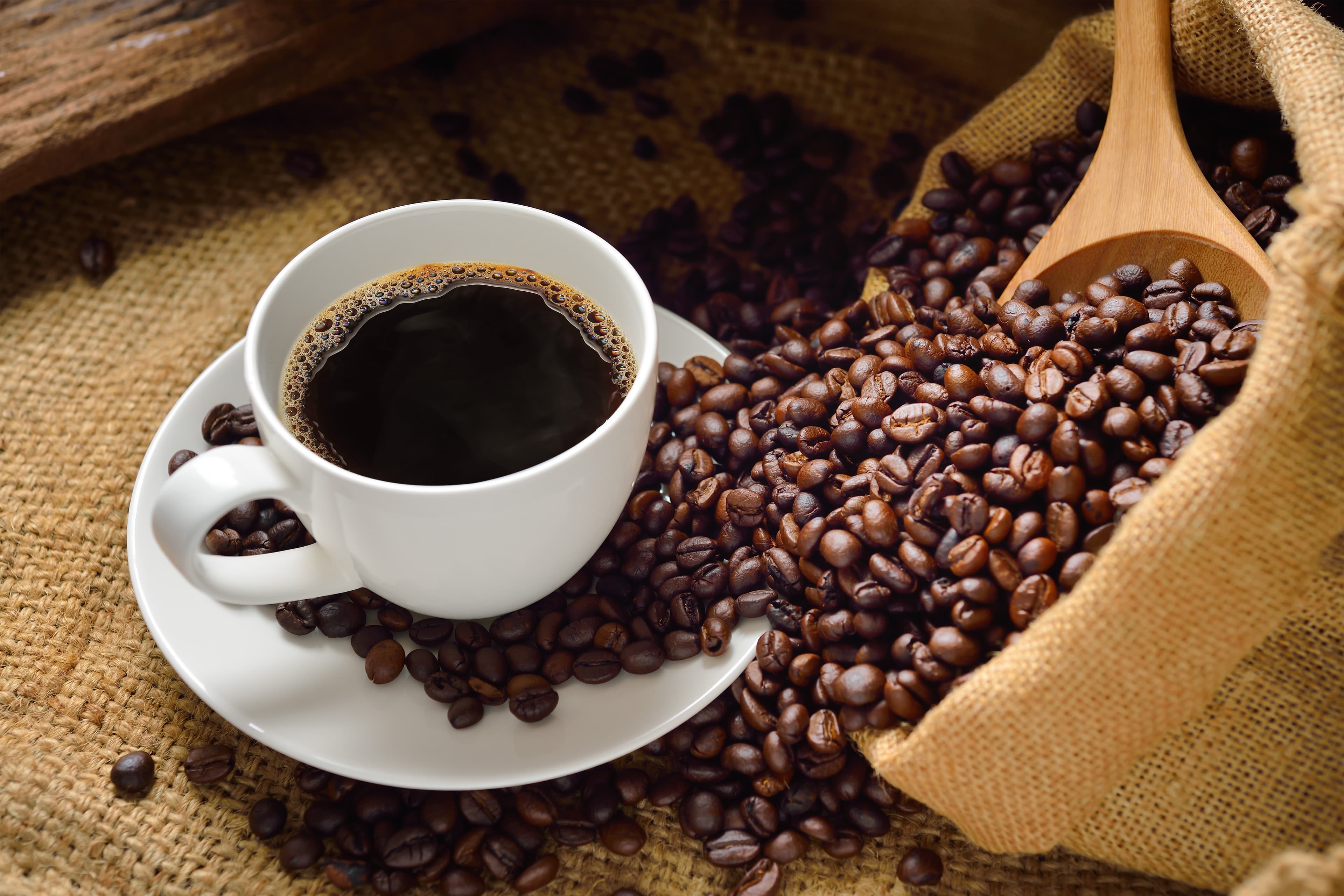 Couverture de l'article : Mais d'abord, un café...
