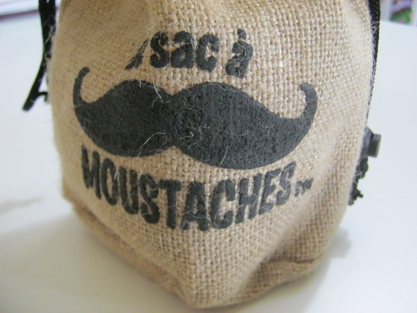 Couverture de l'article : Critique de Le sac à moustaches