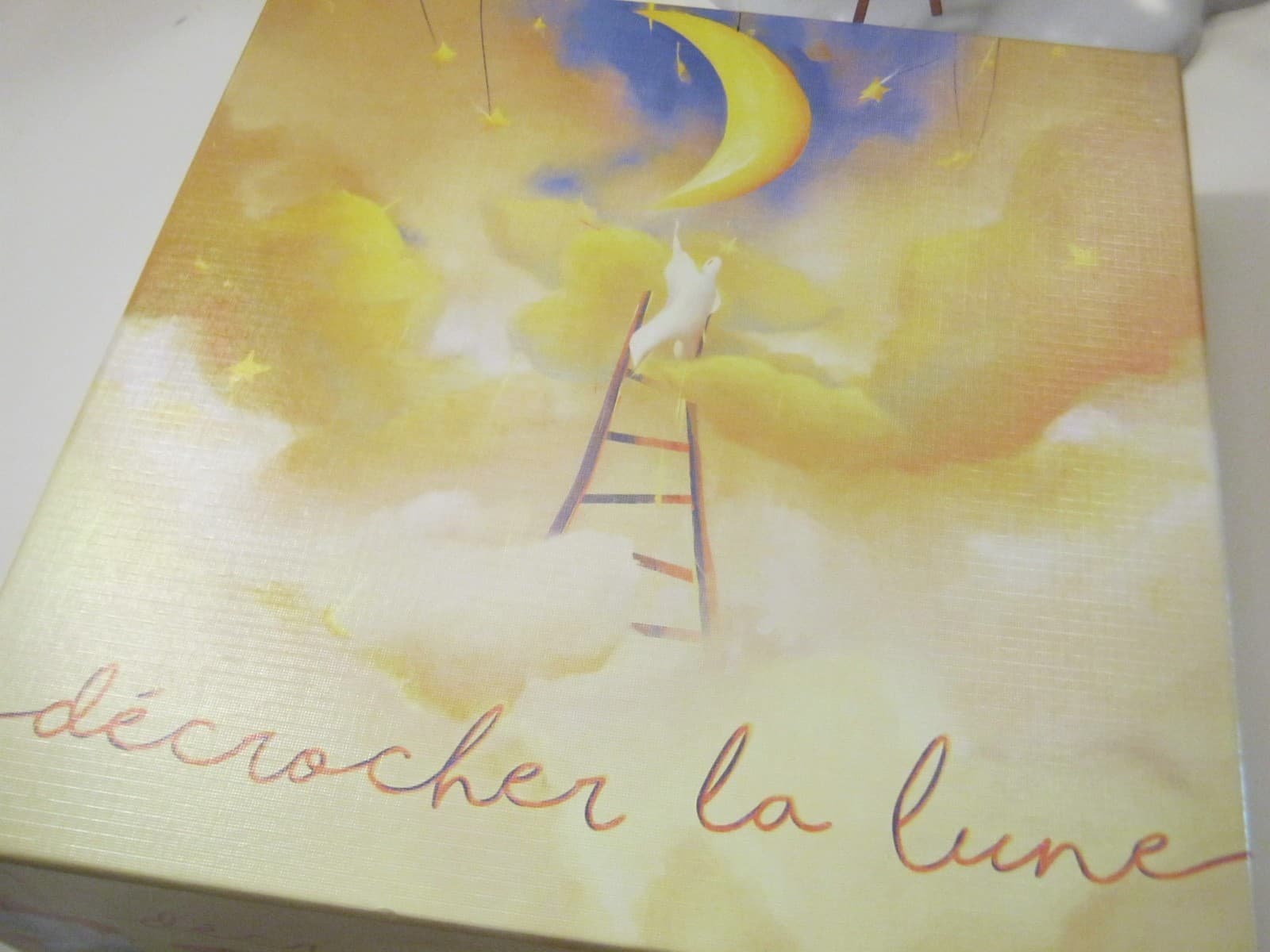 Couverture de l'article : Critique de Décrocher la lune