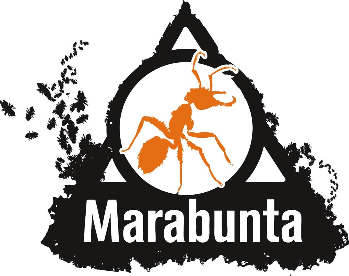 Couverture de l'article : Préparez-vous pour la marathunta !