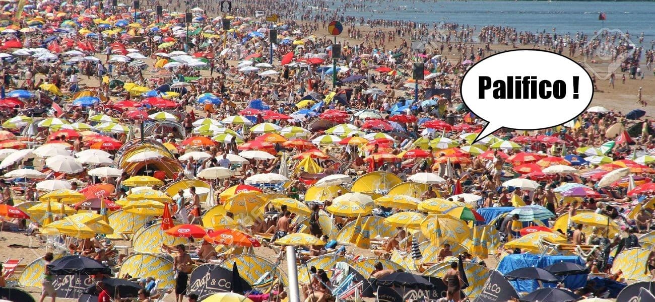 Couverture de l'article : Beach & Waterproof !