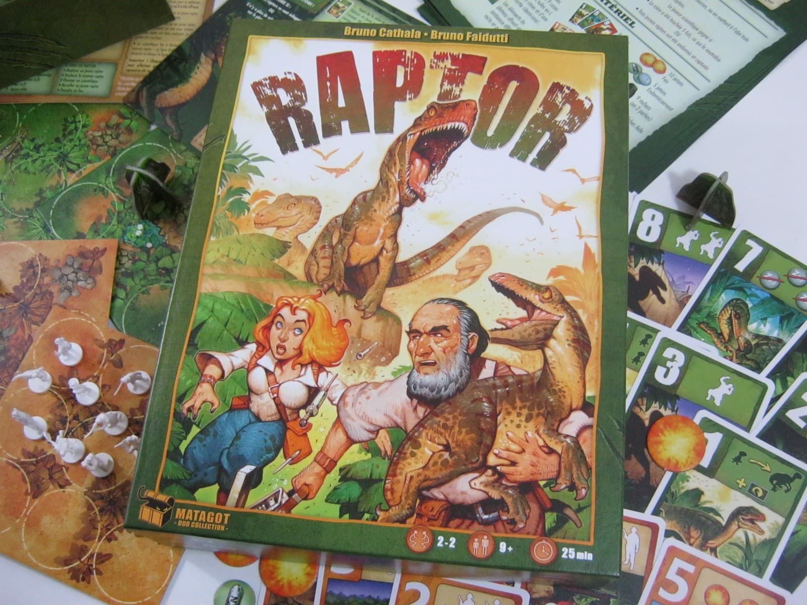 Couverture de l'article : Critique de Raptors