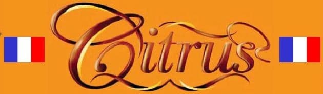 Couverture de l'article : Citrus, le bon jeu de tuiles bien frais !!