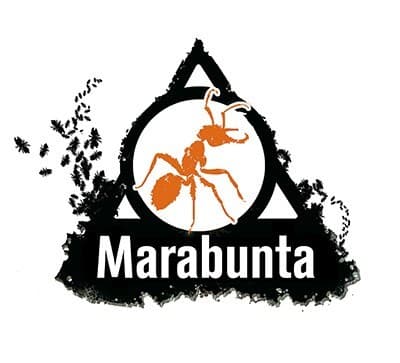 Couverture de l'article : Marabunta et autres considérations asmodéennes