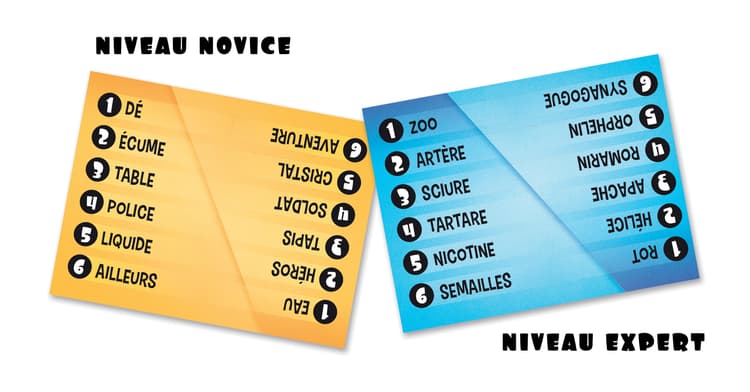 Boîte du jeu : Twinz