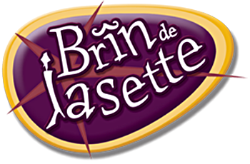 Logo de Brin de jasette