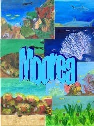 Boîte du jeu : Moorea