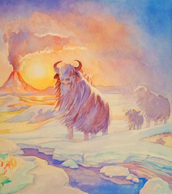 Boîte du jeu : Evolution: Climate