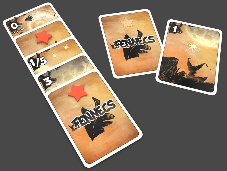 Boîte du jeu : Fennecs