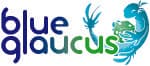 Portrait de : Blue Glaucus