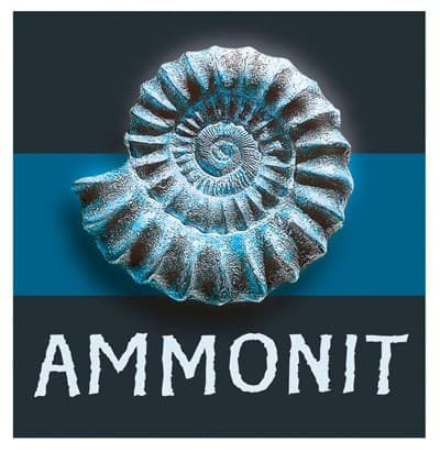 Logo de Ammonit-spiel