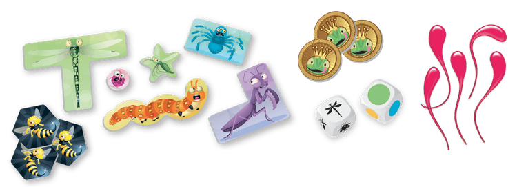 Boîte du jeu : Sticky Chameleons