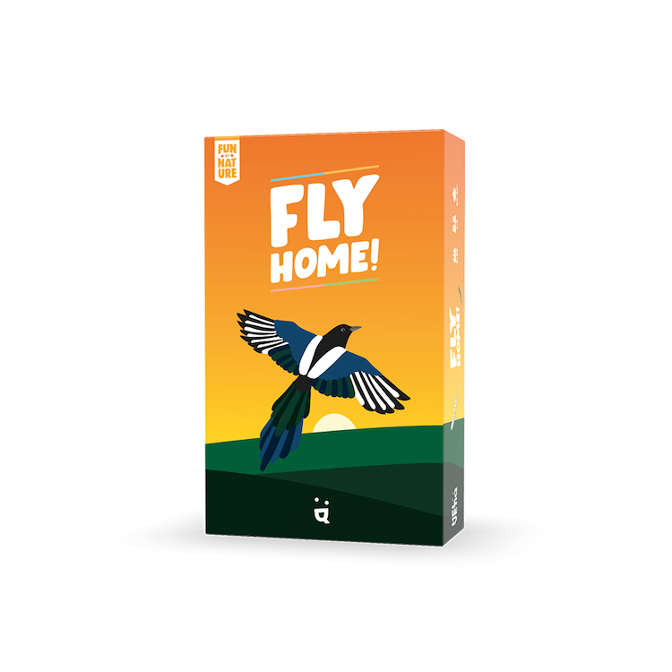 Boîte du jeu : FLY HOME!