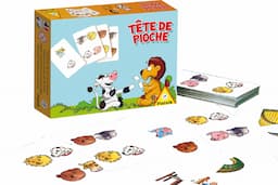 Couverture de Tête de pioche