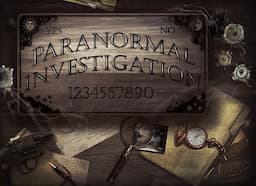 Couverture de Paranormal Investigation