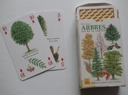 Couverture de Arbres