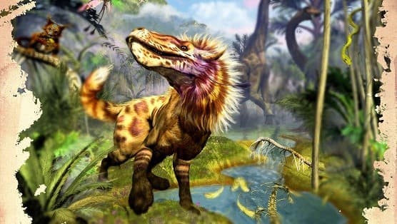 Boîte du jeu : Evolution