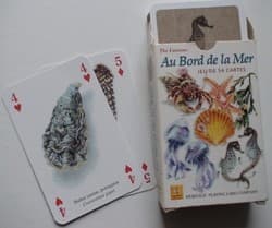 Boîte du jeu : Au bord de la Mer