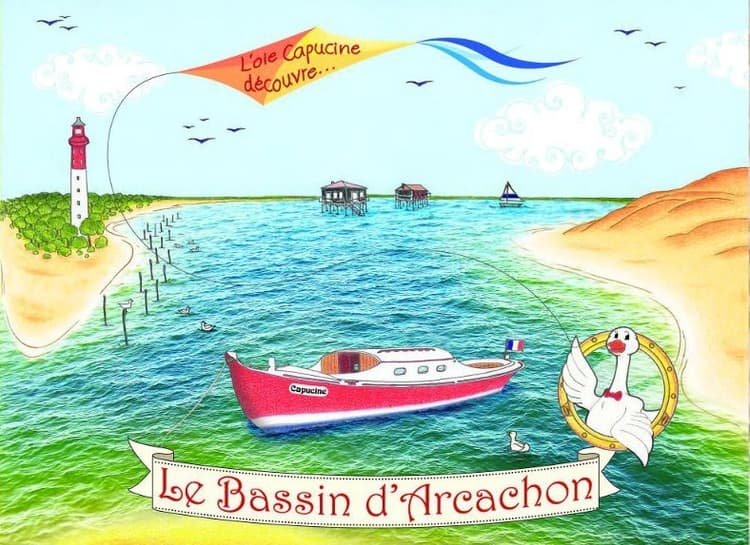 Boîte du jeu : L'oie Capucine Découvre le Bassin d'Arcachon