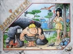 Boîte du jeu : Sozoikum