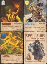 Boîte du jeu : Spellfire