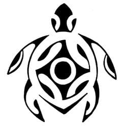 Boîte du jeu : Wushu Tortue