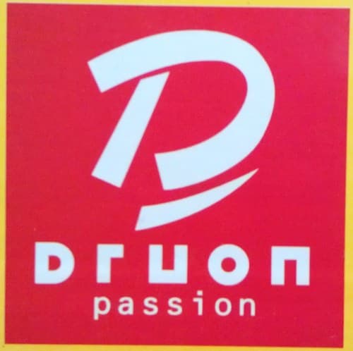 Logo de Druon