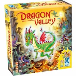 Couverture de La Vallée des Dragons