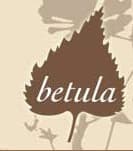 Logo de Betula