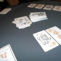 Boîte du jeu : Comme chien et chat