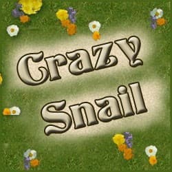 Couverture de Crazy Snail