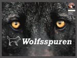 Couverture de Wolfsspuren