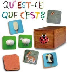 Boîte du jeu : Qu'est-ce que c'est ?