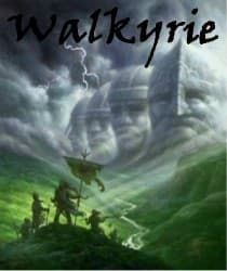 Couverture de Walkyrie