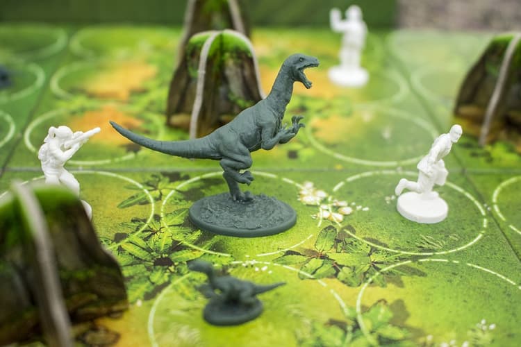 Boîte du jeu : Raptor