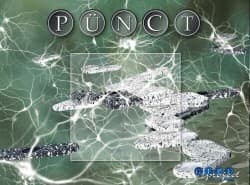 Couverture de Pünct