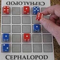 Couverture de Cephalopod