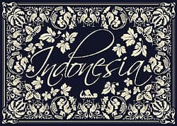 Boîte du jeu : Indonesia